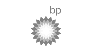 Qlik customer - BP
