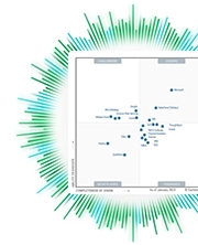 Data Analytics Leadership