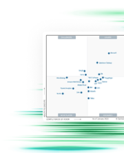 Data Integration Leadership