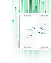 Data Quality Leadership
